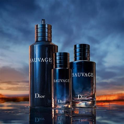 dior sauvage perfume ingredients|sephora dior sauvage ingredients.